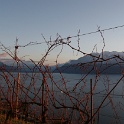 Depuis vignes Corseaux - 057